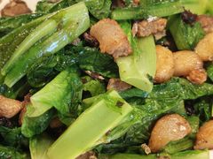 豆豉鲮鱼油麦菜-吴记鲜定味