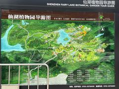 -深圳仙湖植物园