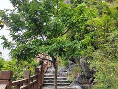 -南宁花花大世界景区