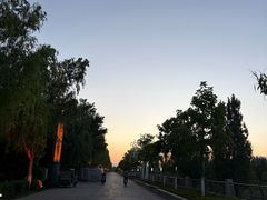 -伊犁河景区