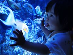 -成都浩海立方海洋公园