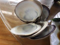-七鲜渔港美食餐厅(巽寮湾海景店)
