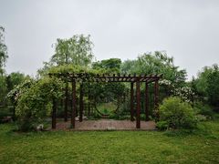 -鹅湖玫瑰文化园