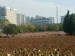 -艾溪湖湿地公园