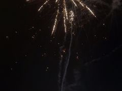 -八仔大富楼·河鲜(西江店)