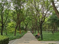 -玲珑塔公园