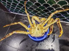 -海市盛宴海鲜餐厅(麦库店)