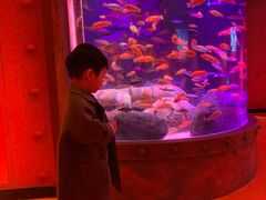 -沈阳海洋探索中心