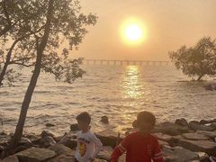 -宝安西湾红树林湿地公园