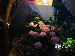 -四喜小胖·北京涮肉(五道营店)