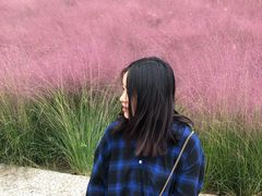 -牛岗山公园
