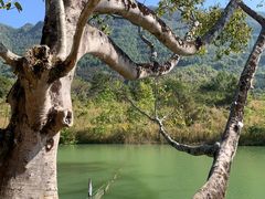 -孔雀湖生态旅游区