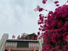 -白云山风景名胜区