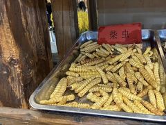 -昆虫窝子·特色云南菜(拓东路总店)