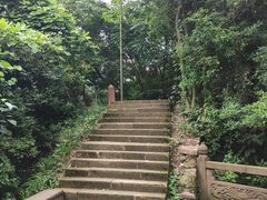 -凤栖山