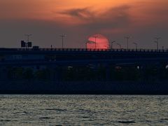 -宝安西湾红树林湿地公园