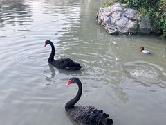 -祥源·阜阳生态乐园