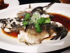 清蒸多宝鱼-丰收日·小海鲜·沪上家宴(顾村正大店)