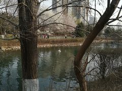 -长白岛森林公园