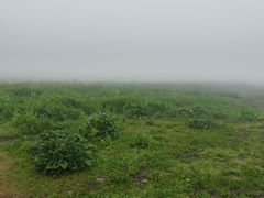 -新疆那拉提国家旅游度假区