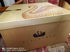 -BLACKSWAN黑天鹅(环球店)