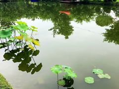 -洪湖家庭农场·团建·露营·会议