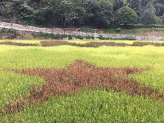 -韶山毛泽东同志故居