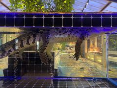 -川骄海鲜自助(河东店)