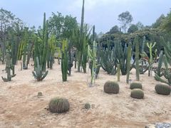 -东莞植物园