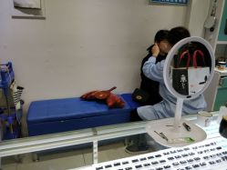 -花师傅