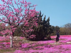 -棒棰岛宾馆景区