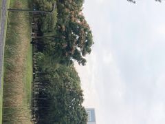 -后襄河公园