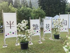 -深圳仙湖植物园