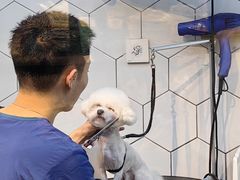 -萌兽医馆·眼科·异宠专科(三里屯店)