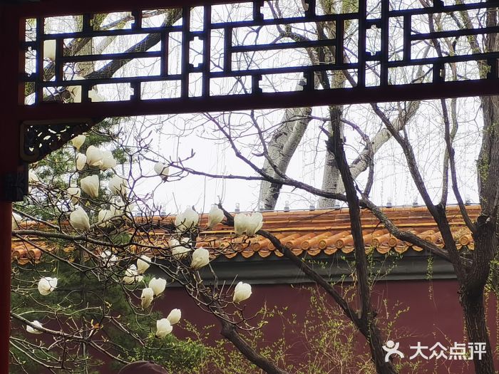 菖蒲河公园图片