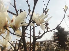 -成都中医药大学(温江校区)