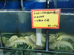 -蚝专家(北滘店)