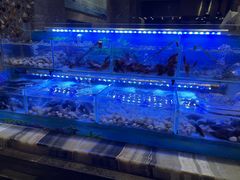-福州西湖大酒店·怡湖咖啡厅