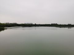 -大兴滨河森林公园