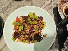 -昆明动物园