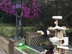 -杭州第一世界大酒店·云曼温泉