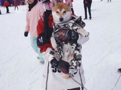 -翠云山银河滑雪场