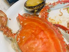 -半岛听涛蒸汽海鲜自助(K11店)