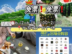-鹏欣水游城