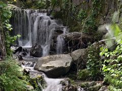 -安吉龙王山风景区