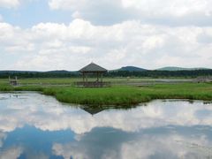 -御道口草原森林风景区