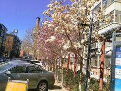 -华北电力大学(一校区)