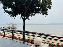 -深圳湾公园(南山区)