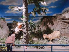 -陕西自然博物馆