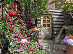 -The Grounds of Alexandria
